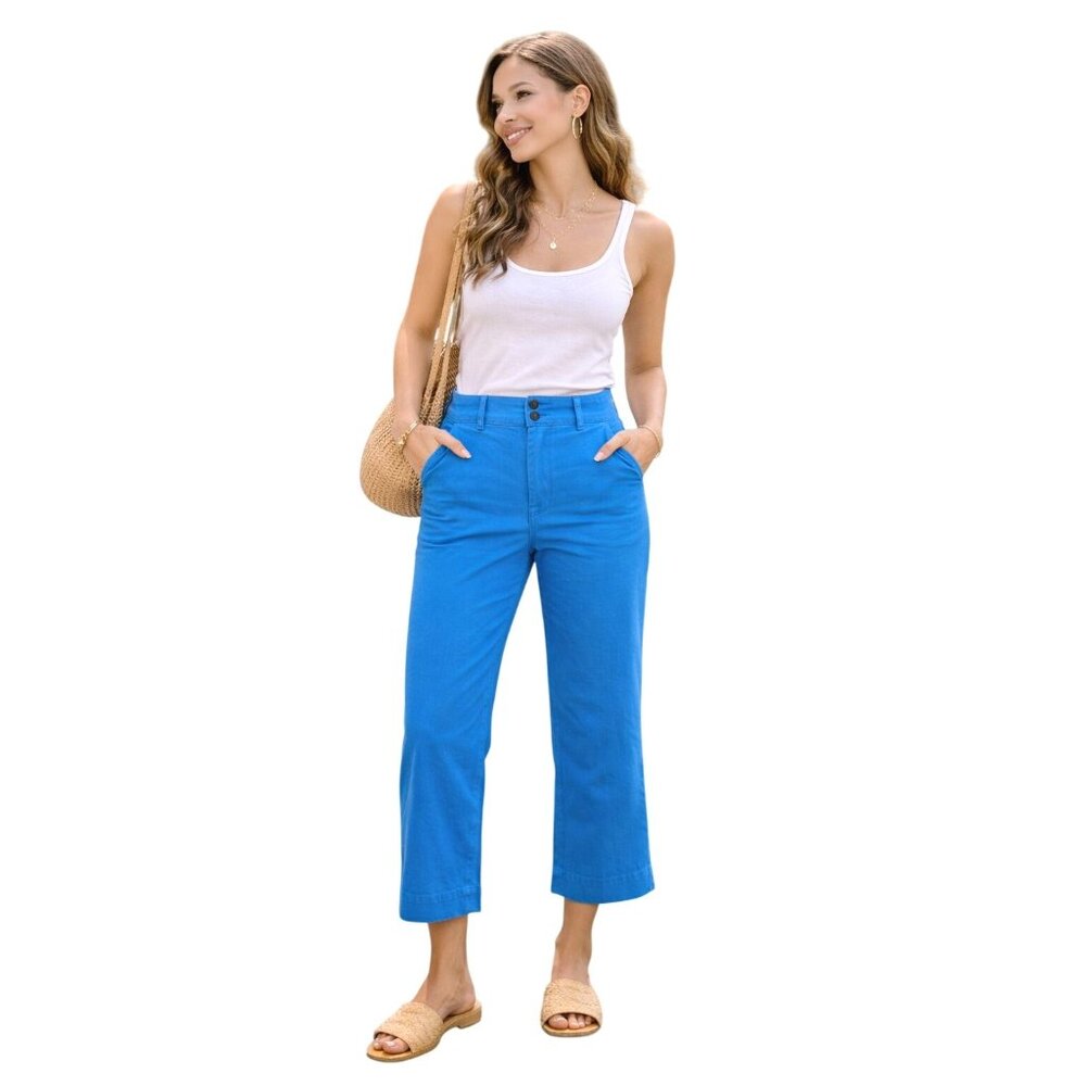 Everlane Womens Cotton Organic Straight Leg Chino Pants Blue Cropped Size 6